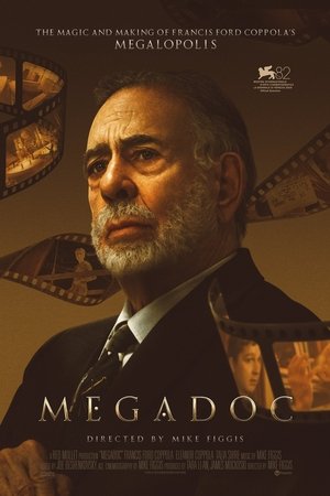 MegaDoc