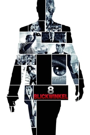 Poster 8 Blickwinkel 2008