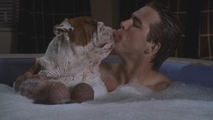 National Lampoon’s Van Wilder (2002)