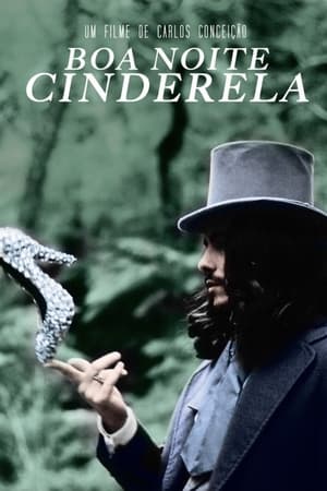 Poster Goodnight Cinderella (2014)