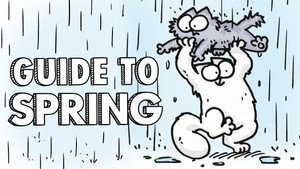 Guide to Spring