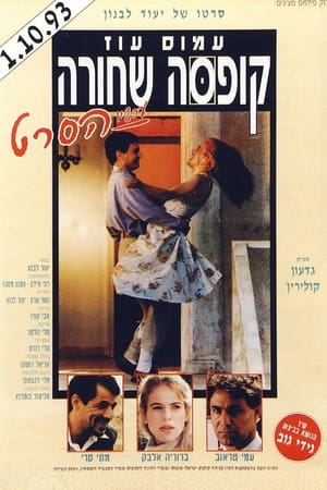 Poster Black Box (1993)