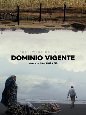 Poster Dominio Vigente (2021)