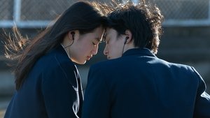 El Primer Amor