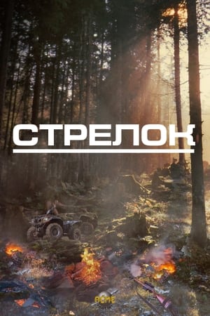 Image Стрелок