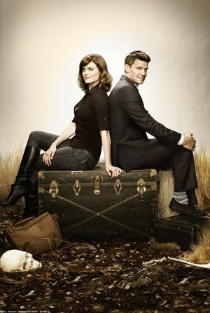 poster Bones