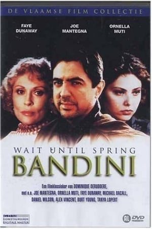 Poster Wait Until Spring, Bandini 1989