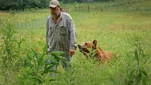 Project Grizzly To Teach a Bear to Fish