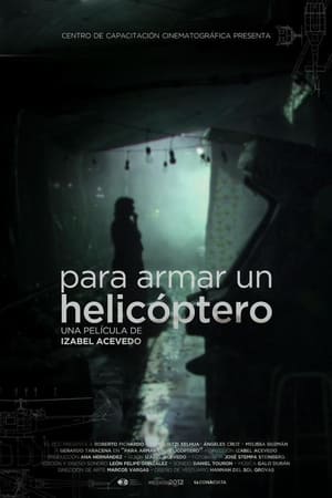 Poster Para armar un helicóptero 2013