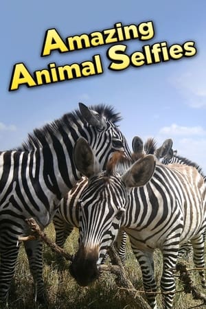 Poster Amazing Animal Selfies (2016)