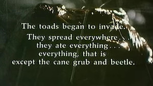 Cane Toads: An Unnatural History 4