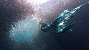A Drop in the Ocean