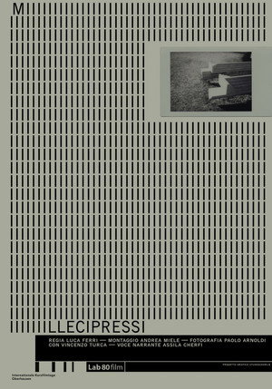 A Thousand Cypresses