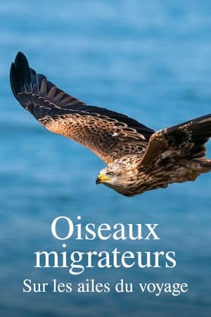 Poster Oiseaux migrateurs : Sur les ailes du voyage 2023