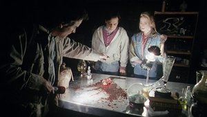 Evil Dead – Die Saat des Bösen (1991)