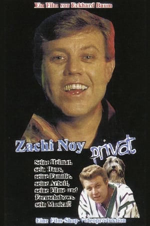 Poster Zachi Noy Privat 1999