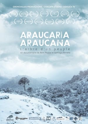 Poster Araucaria Araucana (2018)