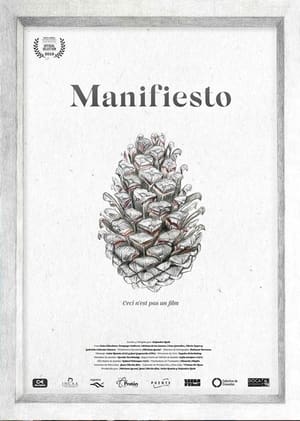 Poster Manifiesto 2019