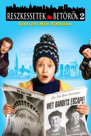 poster Home Alone 2: Lost in New York