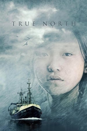 Image True North