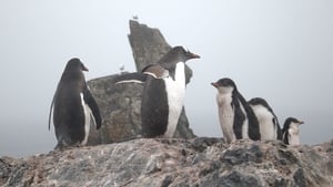 Image Antarctica - Southern Exposure