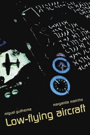 Poster Low-Flying Aircraft (2002)