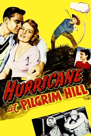 Image Hurricane at Pilgrim Hill