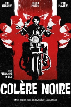 Colère noire