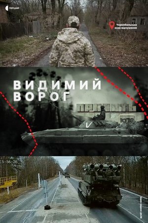 Póster oficial de la película The Visible Enemy