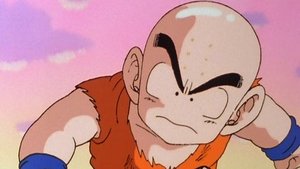 Dragon Ball Z Kai: 1×13