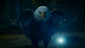 Peacemaker: 2×2
