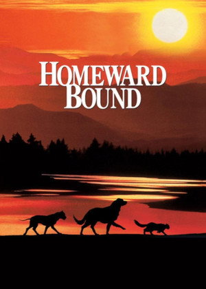 Постер фильма «Дорога домой: Невероятное путешествие (1993)» — (18 из 36)