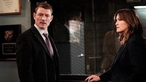 Zákon a pořádek: Útvar pro zvláštní oběti: s19e19
