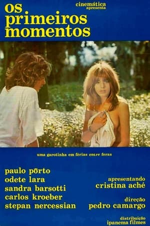 Poster Os Primeiros Momentos 1973