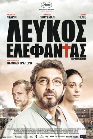 Poster Λευκός Ελέφαντας 2012