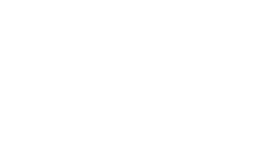 Ziam — Logos 11