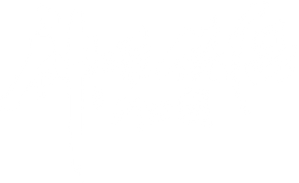 神雕侠侣：问世间 — Logos 5