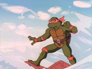 Teenage Mutant Hero Turtles: 7×9