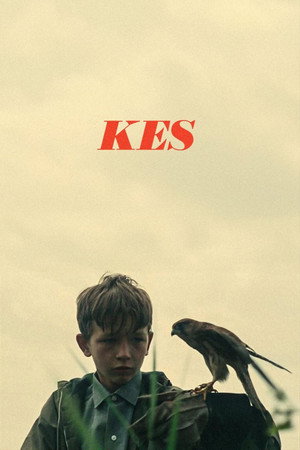 Постер фильма «Кес (1969)» — (19 из 33)