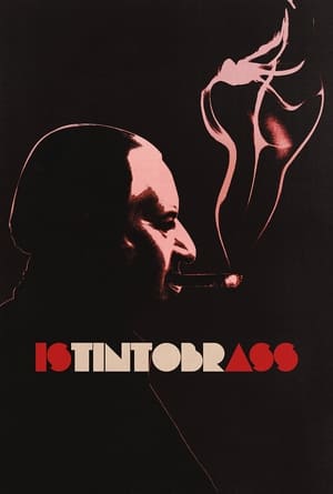 Poster Istintobrass (2013)