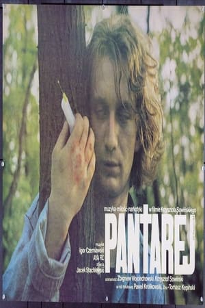 Poster Pantarej 1988
