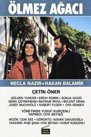Ölmez Ağacı 3