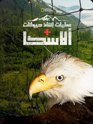 عمليات إنقاذ حيوانات ألاسكا