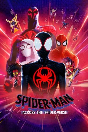 poster Spider-Man: Across the Spider-Verse