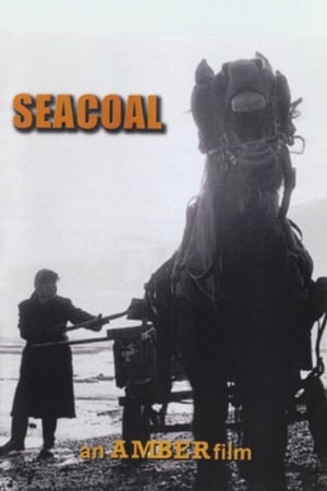 Poster Seacoal (1985)