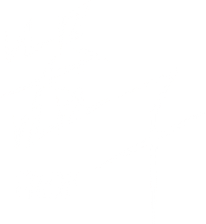 Organ Child (2025) อวัยวะเถื่อน
