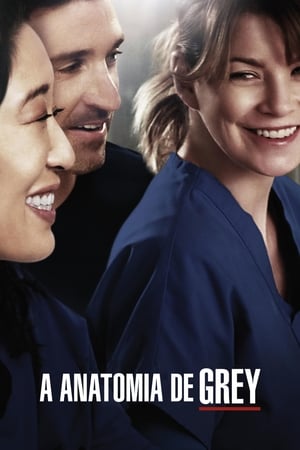 poster Grey's Anatomy - Season 2