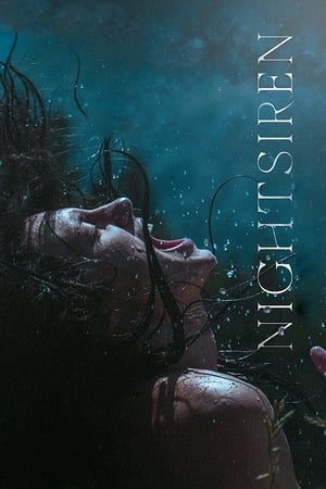 Poster Nightsiren 2022