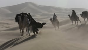 Queen of the Desert (2015) ตำนานรักแผ่นดินร้อน