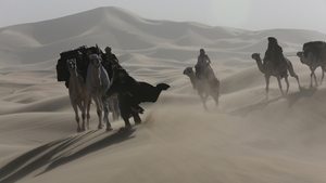 Queen of the Desert (2015)